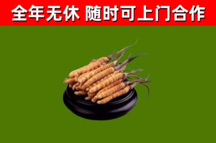 台南回收冬虫夏草